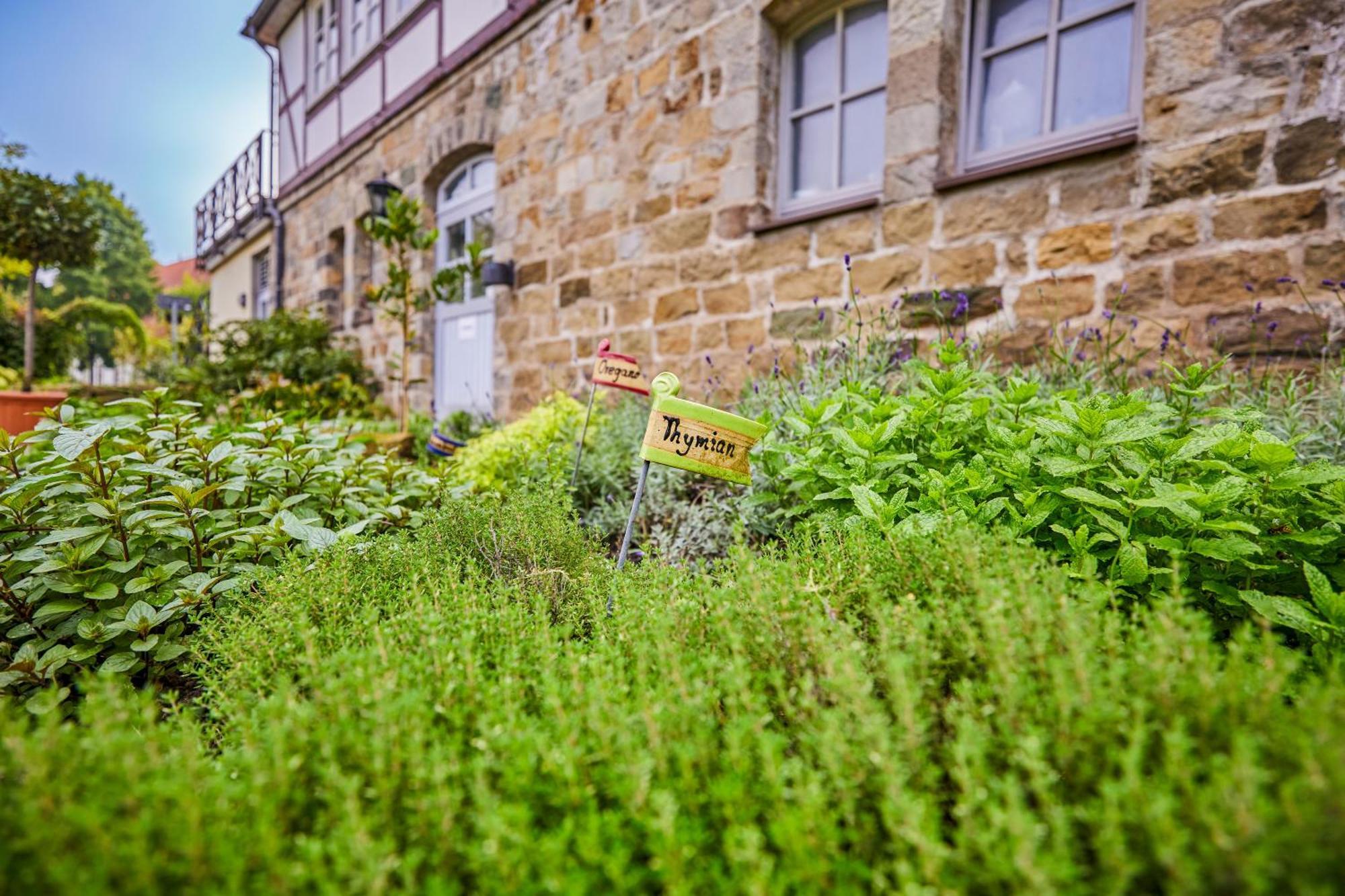 Landhaus Schieder エクステリア 写真